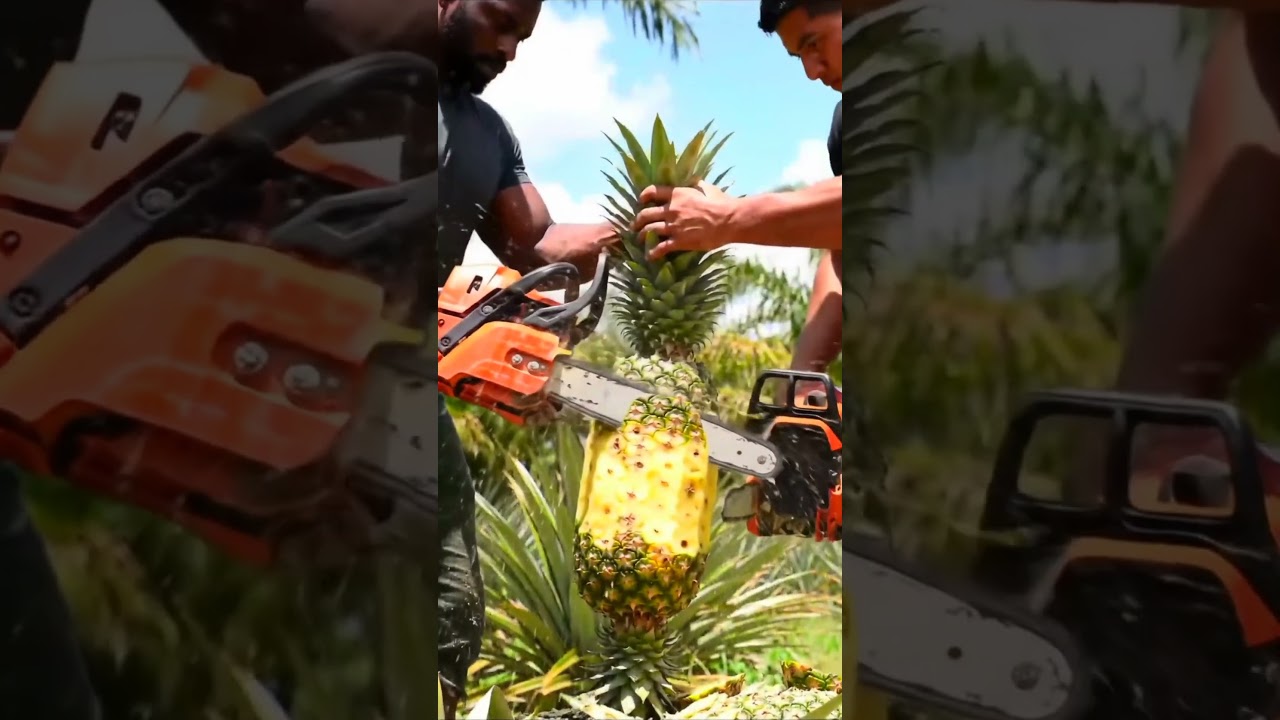 Chainsaw vs Giant Pineapple! 🍍 Tropical Farm Madness 