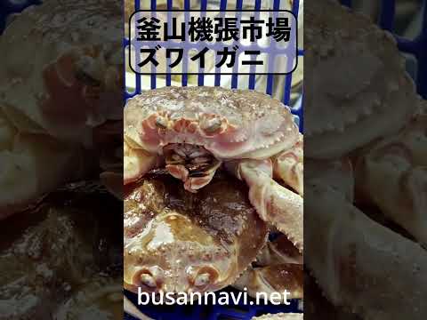 韓国釜山・機張市場の美味しいカニ　#釜山グルメ #釜山旅行 #busanfood #釜山グルメ 釜山機張郡