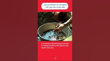 ✴️ TẠI SAO GỘI ĐẦU BẰNG BỒ KẾT TỐT CHO TÓC VÀ DA ĐẦU?