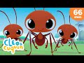 Ants Go Marching and more Nursery Rhymes by Cleo and Cuquin | Children Songs
