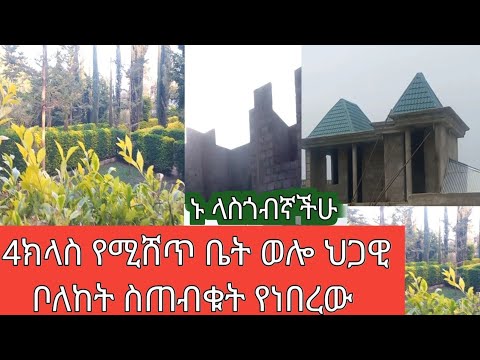 4ክላስ የሚሸጥ ቤት ወሎ ህጋዊ ቦለከት ስጠብቁት የነበረው