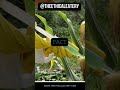 Scary Food Facts GMO Genetically Modified Organisms Scary Food Facts GMO Genetically Modified Organisms