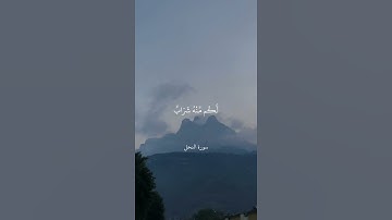 هُوَ الَّذِي أَنزَلَ مِنَ السَّمَاءِ مَاءً ۖ لَّكُم مِّنْهُ شَرَابٌ || سورة النحل || علي جابر