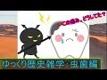 【ゆっくり歴史解説】昔の人って虫歯の痛みどうしてたん？？？[06]