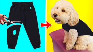 4 Ideias Incríveis de Roupas e Acessórios Fáceis Para Cachorros | transformação de roupas DIY