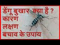 डेंगू बुखार क्या है ? कारण, लक्षण और बचाव के उपाय || Dengue Fever general information