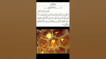 سورة النحل من الآية 68 إلى الآية 69 بصوت القارىء الشيخ ياسر الدوسرى
