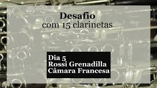 Professor Ricardo Freire Usando Em Seu Setup A Abraçadeira Dpow Freedom Desafio Com 15 Clarinetas