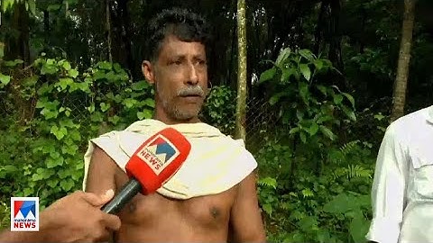 വൈദ്യുതിക്കമ്പി പൊട്ടിവീണിട്ട് 15 ദിവസം;കടുത്ത അനാസ്ഥ; ബാബുവിന്‍റെ മൃതദേഹം സംസ്കരിച്ചു​|KSEB