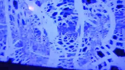 flash strobe warning [EPILEPSY WARNING] source video for music 2 *Photosensitivity Warning*