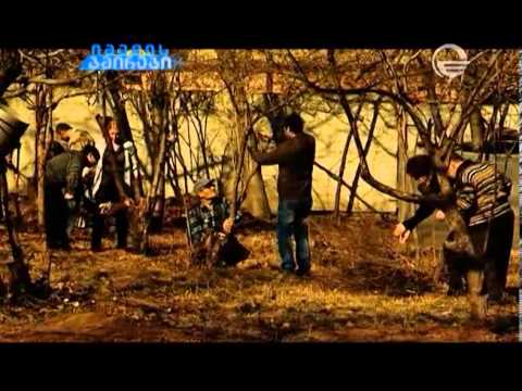 იმედის გმირები: გულიკო როსტოშვილი