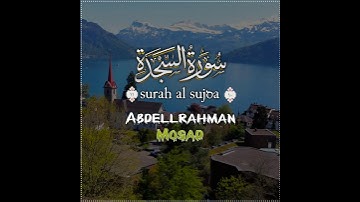 عبدالرحمن مسعد | حالات واتس اب دينية سورة السجدة🥰💛
