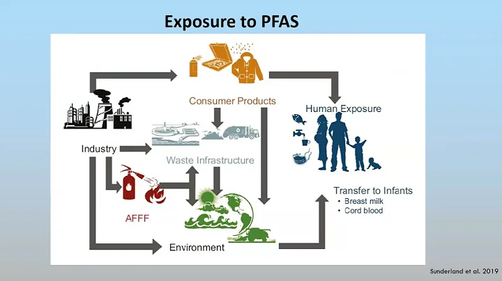 What We Need to Know About PFAS – the Forever Chemicals