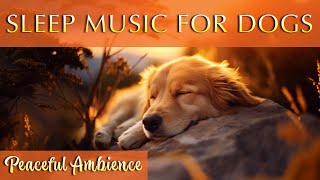 Harmony for Hounds 🐶 Calming Sleepscape for Canine Comfort by Merlin's Realms - Music for Dogs and Humans 2,554 views 3 weeks ago 11 hours, 59 minutes