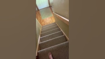 Making transitions day 1