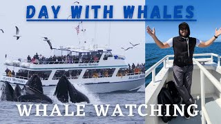 Whale watching || Day with Whales || one lifetime experience || Monterey California #2022 by Hassan vlogs 157 views 1 year ago 6 minutes, 38 seconds
