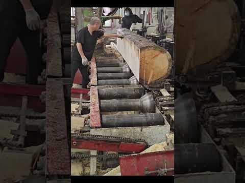 #woodcut #carpentry #woodcuting #cuttingwood #cutting #toolsmachine #woodworking #tool #machine
