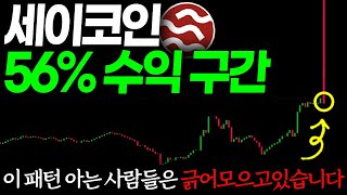 세이코인 전망 폭등 시그널 나왔습니다. 불장 시작 &#39;이날&#39;