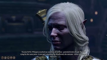Minsc and Jaheira meet Viconia in Baldur