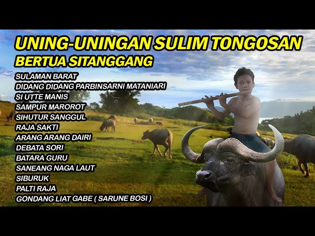 UNING UNINGAN GONDANG BATAK BERTUA SITANGGANG SULIM TONGOSAN class=