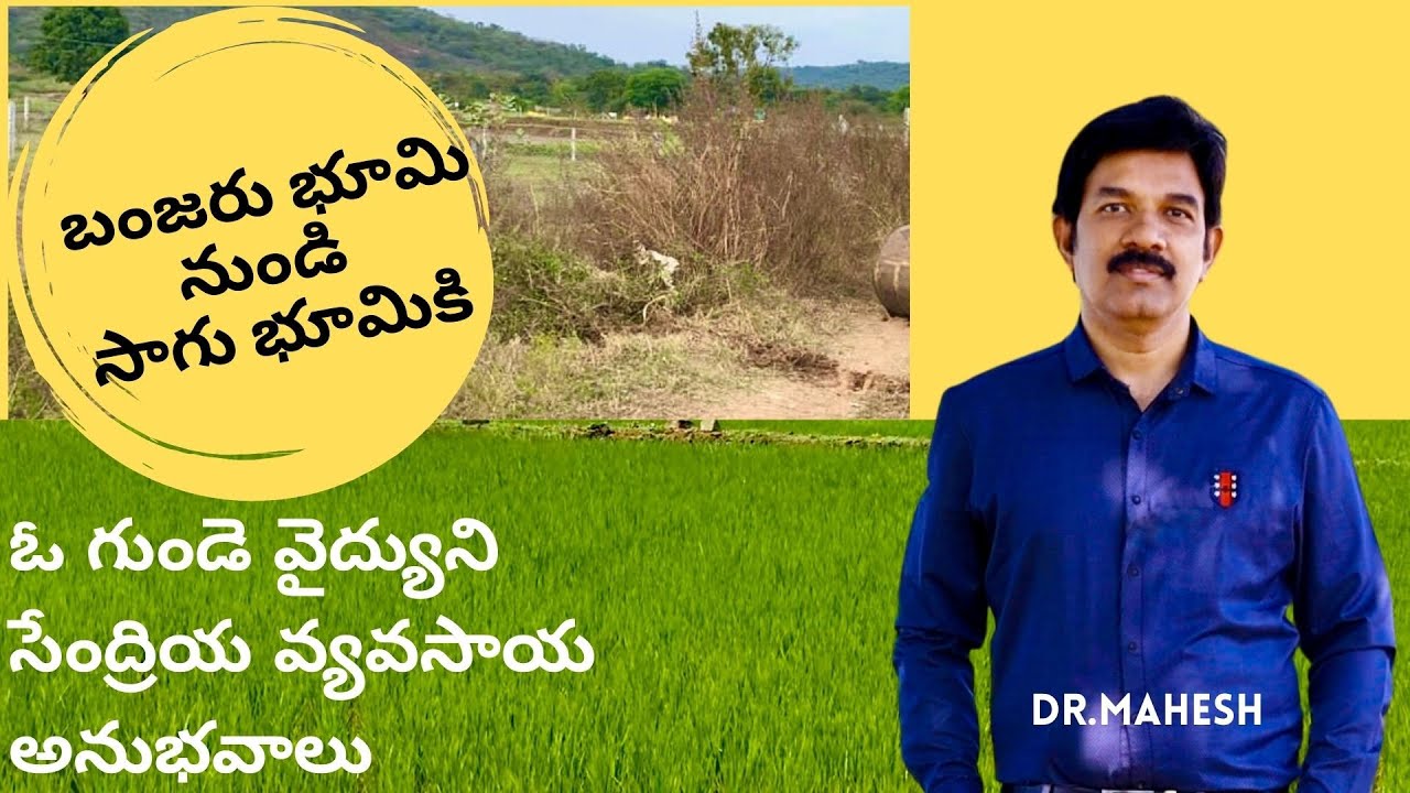 బంజరు భూమి నుండి సాగుభూమి Barren land to Fertile Mallika Organics