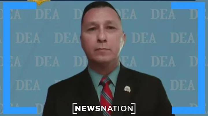 Synthetic drugs replace plant-based narcotics at border: Official | NewsNation Prime