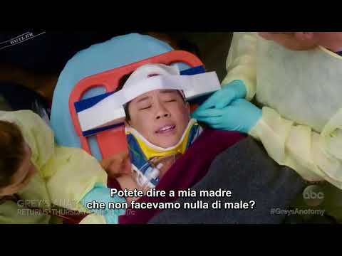 Grey's Anatomy 14x13