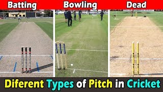 Different Types of Pitch Used to Play in Cricket । क्रिकेट के पिच screenshot 5