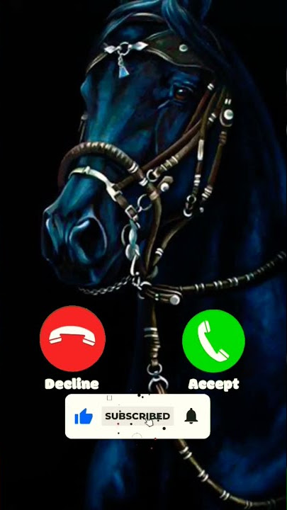 Horse Ringtone Notification ringtone Message ringtone Mobile phone ringtone #horse_ringtone#shorts