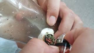 NZ conezz