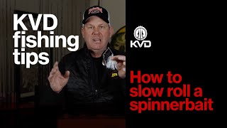 Celebrity Fishing Technique - Slow Rolling a Spinnerbait + Bait Selection with Kevin VanDam Net Worth