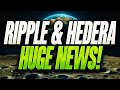 Ripple  hedera huge newstruth about xrp  ripples stablecoin