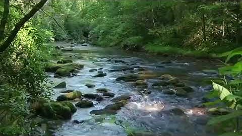 القارىء معاذ الخلطي - سورة التوبة - ( رواية ورش عن نافع )