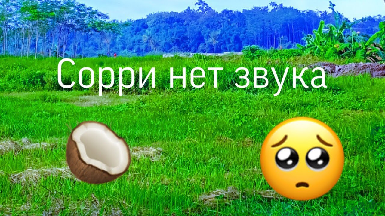 Нет звука туарег Нет звука туарег