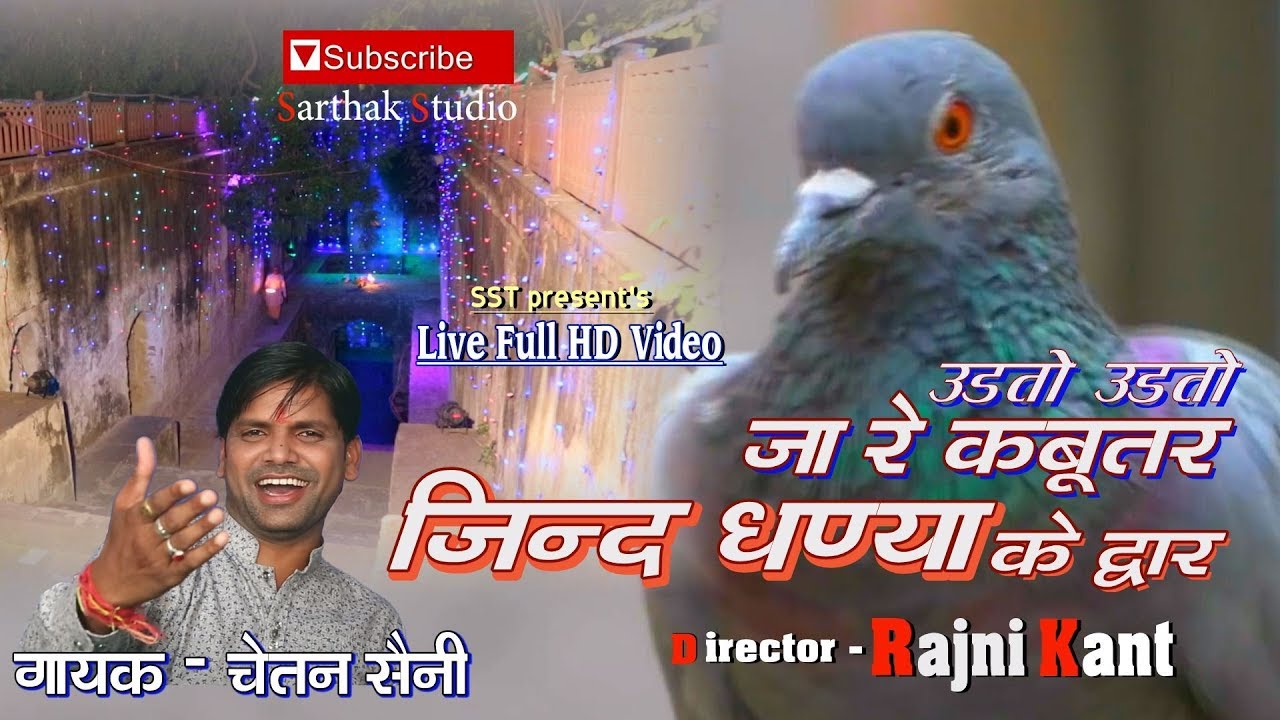 उडतो जारे कबूतर जिन्द धण्या के द्वार | चेतन सैनी | Sarthak Studio & Team Raipura kota 9694625050