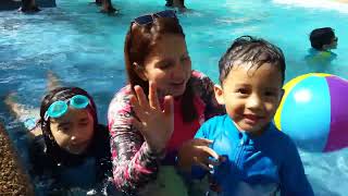 Tara Swimming