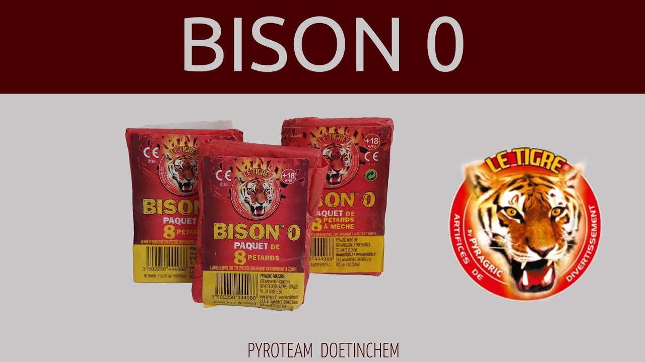 Bison 0  |  Le Tigre