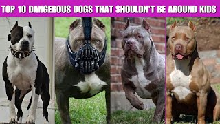 Top 10 Dangerous Dogs That Shouldn’t Be Around Kids | Breeds That Parents Must Avoid at All Costs