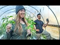 How SHE'S preserving these before the COLD | Rutgers Devotion Basil