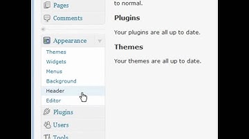 How to Upgrade to WordPress 3.0? (44) Wordpress Video Tutorials