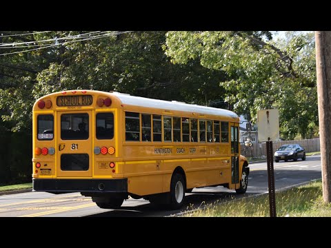rigs of rods bluebird vision school bus download rigs of rods bluebird vision school bus download