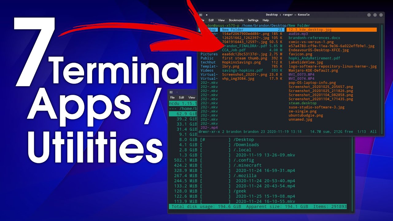 Linux import. Terminology Terminal.