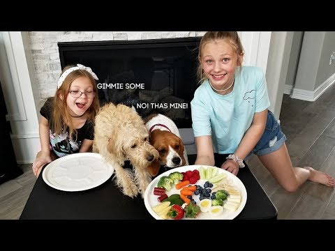 Dog Reviews Food With Sister!!! – Mia and Bella Taste Test!!!