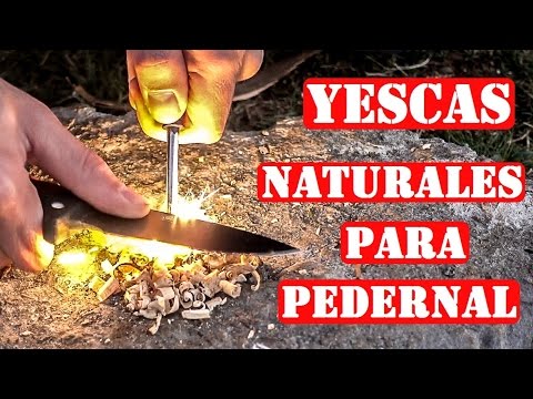 Video: Cómo Hacer Yesca