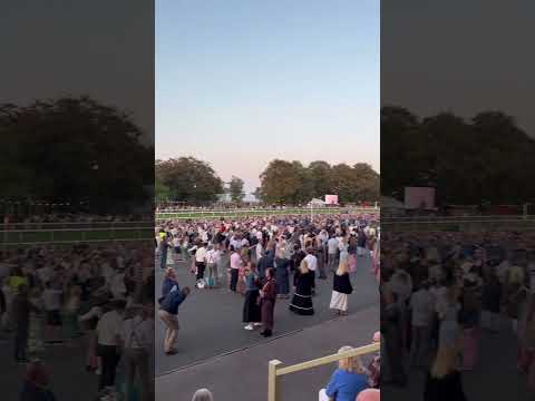 Kaiser Chiefs Rocked Newmarket Nights — See the Crowd React — slide 1