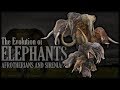 The Evolution of Elephants 🐘