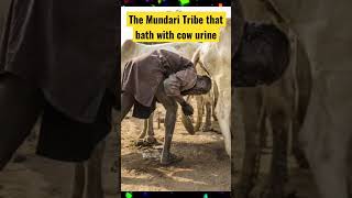 That Mundari Tribe of South Sudan that love their cattle more than themselves