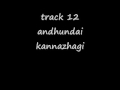 Track 12  andhundai kannazhagi