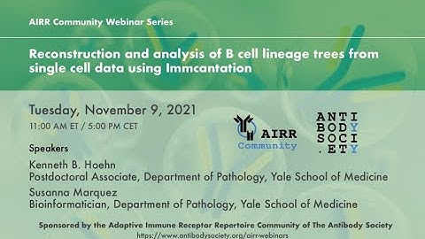 AIRR-C Webinar: Reconstruction & analysis of B cell lineage trees from single cell data Immcantation