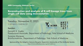 AIRR-C Webinar: Reconstruction & analysis of B cell lineage trees from single cell data Immcantation